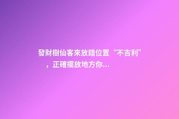 發財樹仙客來放錯位置“不吉利”，正確擺放地方你清楚嗎？
